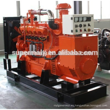 Generador de biogás de 40 kW por motor Yangdong